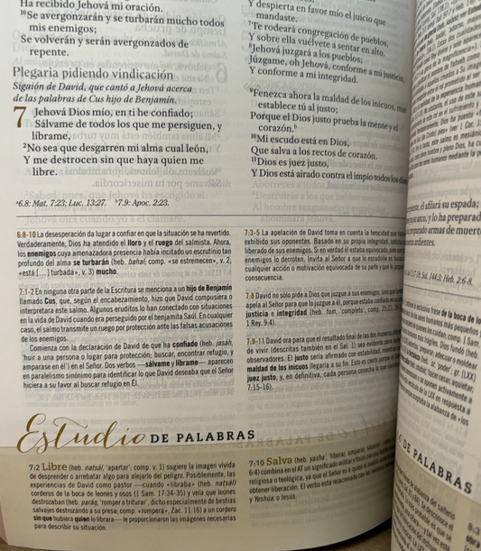 Biblia estudio mujeres Reina Valera