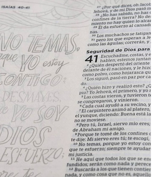 Biblia Reina Valera 1960 de Apuntes